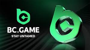 Understanding BC Game Contacts for Better Communication 7