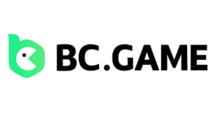 The Ultimate Guide to the BC.Game Platform